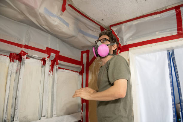 Best Asbestos and Lead Testing During Mold Inspection  in Port Republic, NJ